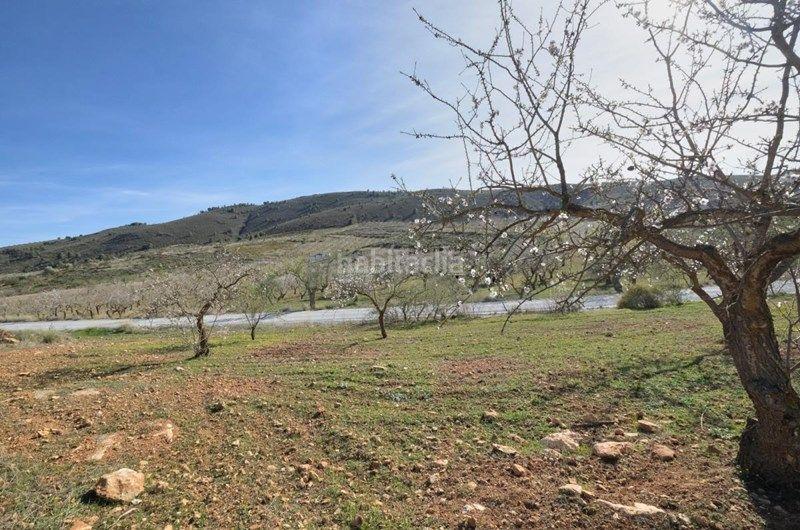 Foto 298ded98-3b10-41a3-b310-4ade19026572. Finca rústica a Valle (El)