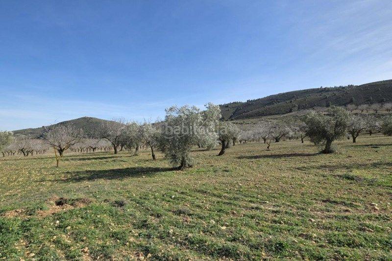 Foto 2aa75925-6404-4858-aaa8-1e7fc3cf79a5. Finca rústica a Valle (El)