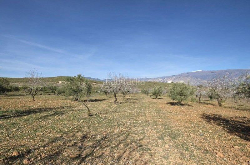 Foto 356d1191-ad88-48ca-9986-a8634bd19259. Finca rústica a Valle (El)
