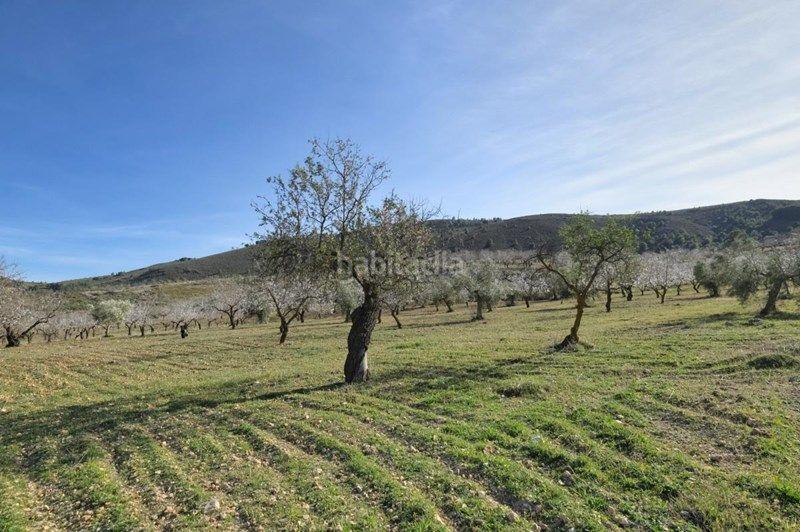 Foto 4bf9e2e0-f274-4717-8b07-2ae9c6f7b493. Finca rústica a Valle (El)