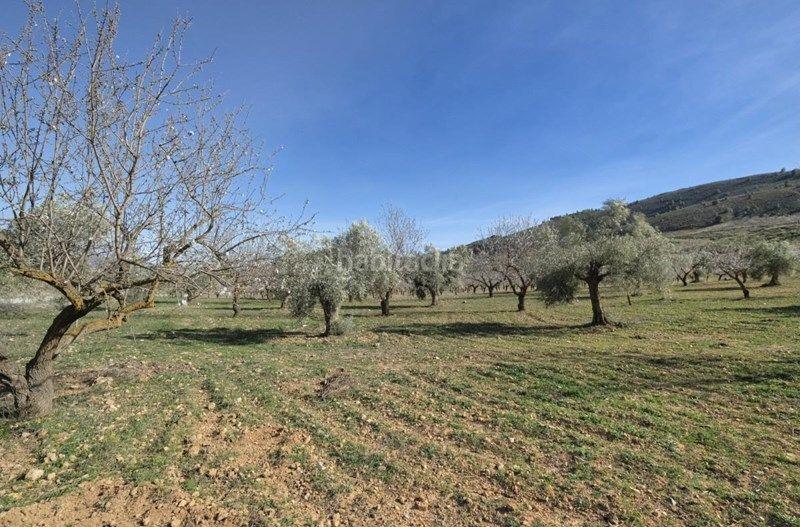 Foto 6b2161a3-02da-42cc-8e20-7ed8bd8e96d3. Finca rústica a Valle (El)