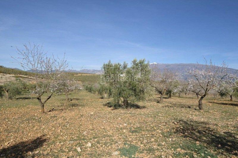 Foto 7a6f6e67-9bd3-4349-84d4-c230a33656a9. Finca rústica a Valle (El)