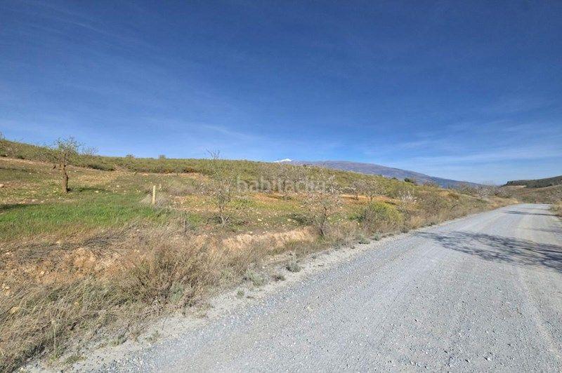 Foto 7f63c594-e3ec-4f65-a615-5e6ad2835ea1. Finca rústica a Valle (El)