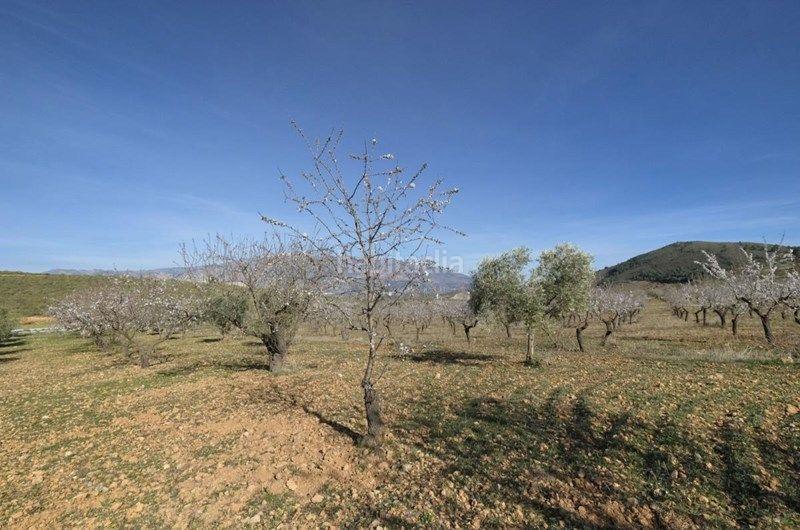 Foto a96c31dd-6183-4952-90d4-597970d4ff69. Finca rústica a Valle (El)