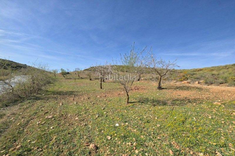 Foto be7e863f-d4bf-4af6-933a-82eb7a259f27. Finca rústica a Valle (El)