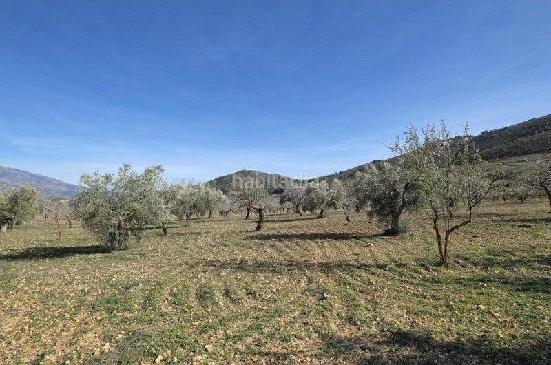 Foto c93432f9-d304-4037-a1b2-6dd895e07625. Finca rústica a Valle (El)