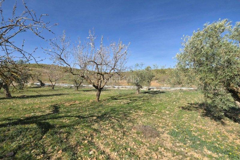 Foto c95b76eb-c2ae-428b-8812-c0aa92ac40ba. Finca rústica a Valle (El)