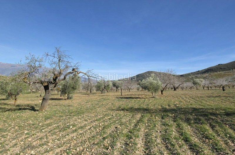 Foto ef3f277d-d3ec-4342-90e8-8dfac84a3220. Finca rústica a Valle (El)