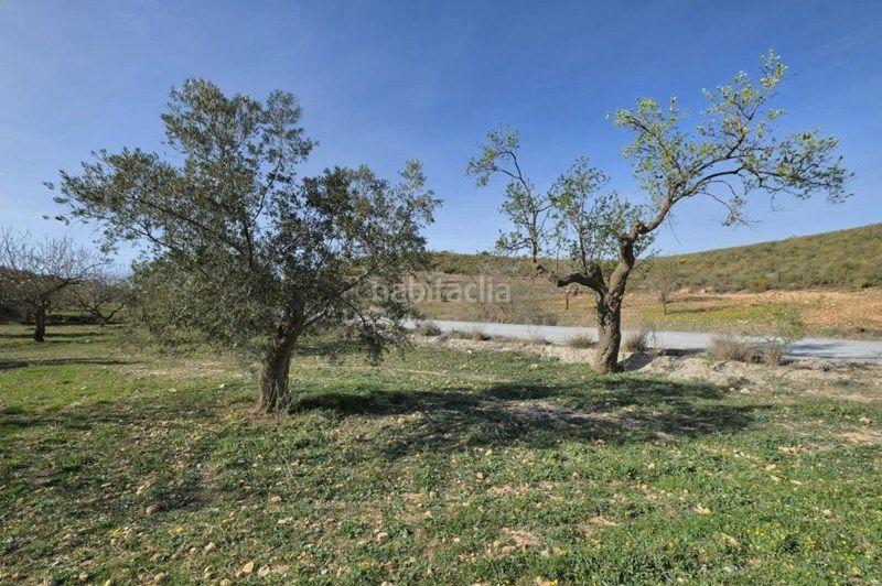 Foto f96f6aeb-e826-4dcf-8c1c-ba502d6dc695. Finca rústica a Valle (El)