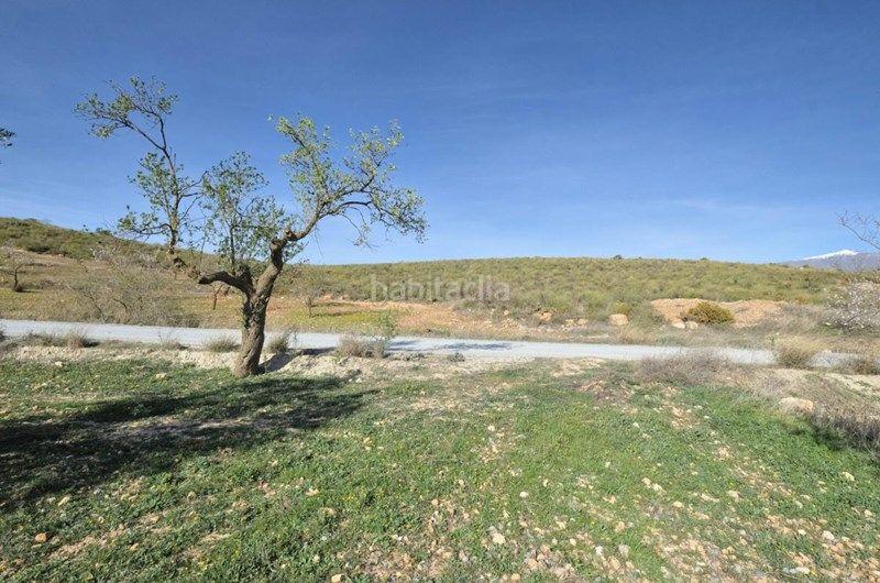 Foto ff6b0eec-0750-4fd7-8194-f655ed9b996d. Finca rústica a Valle (El)