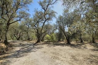 Finca rústica a Pinar (El). Finca rústica de 11.832 m2 en pinos del valle