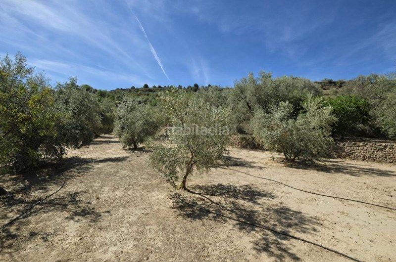 Foto a02c95b6-a8c7-4c9e-8dde-6b21c1a72cc1. Finca rústica a Valle (El)