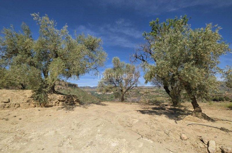 Foto c8a5cb1d-1529-41f4-8bda-510b64997651. Finca rústica a Valle (El)