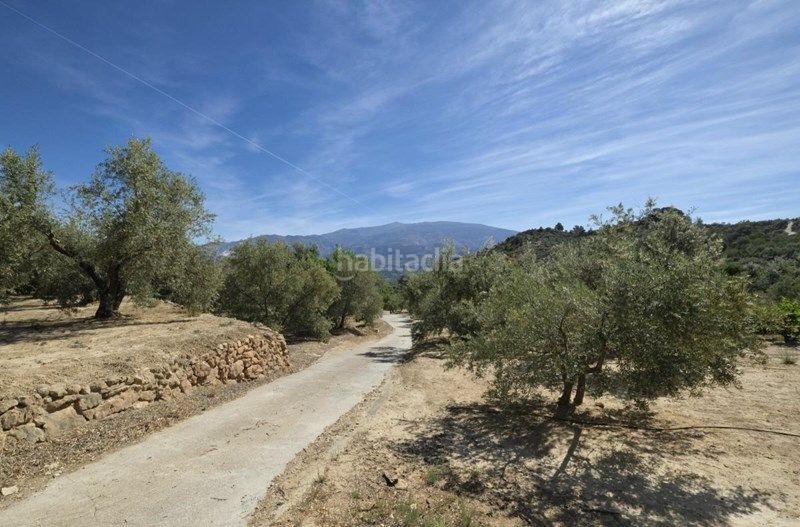 Foto e1b27c02-1e96-4168-b17d-3268166e2fa9. Finca rústica a Valle (El)