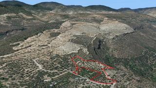 Finca rústica a Valle (El). Finca de regadío en saleres