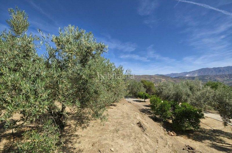 Foto e861be19-c52b-4d69-b27c-6a5eb903a76d. Finca rústica a Valle (El)