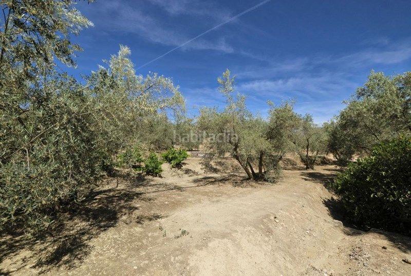 Foto f4db43e8-e6b7-4da2-9aec-521cbcc1f5e7. Finca rústica a Valle (El)