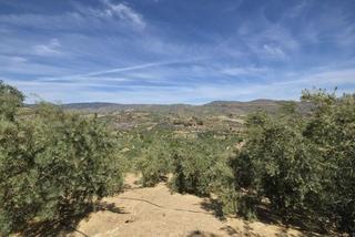 Finca rústica a Valle (El). Finca de 5304 m2 en saleres
