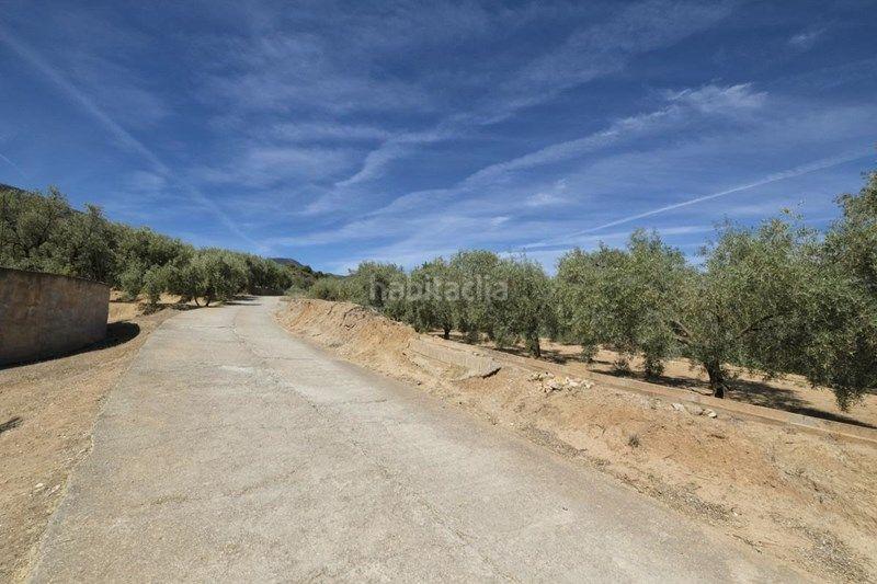 Foto 74a1a7b0-d45b-46f0-8703-aa71f69d343a. Finca rústica a Valle (El)