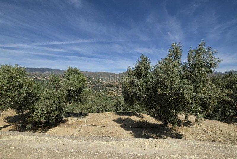 Foto a059b282-f2d4-4148-8d84-3bc64ef49724. Finca rústica a Valle (El)