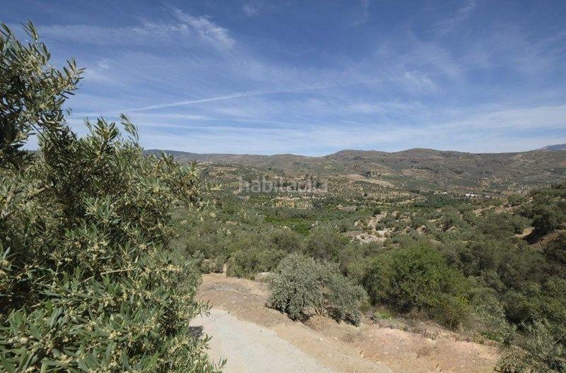 Foto b5a2da91-2b27-45bd-b643-782ae989e65b. Finca rústica a Valle (El)