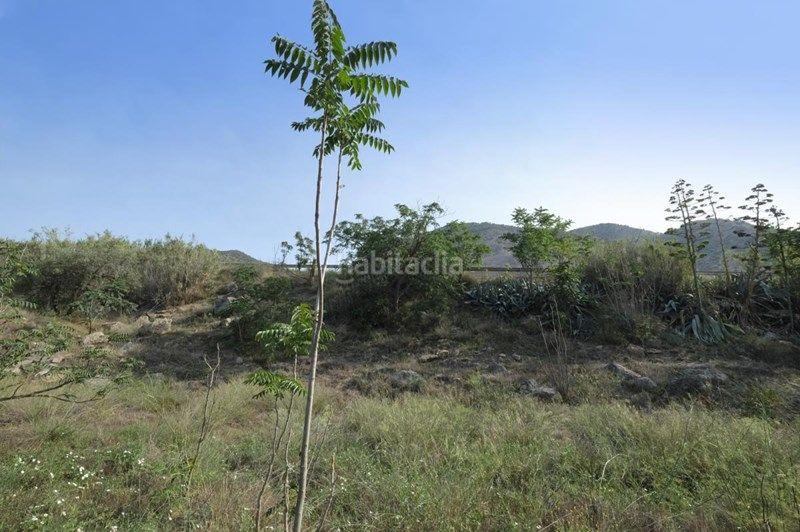 Foto 1db69970-62ab-4e3f-bc75-2071e1f74068. Finca rústica a Padul
