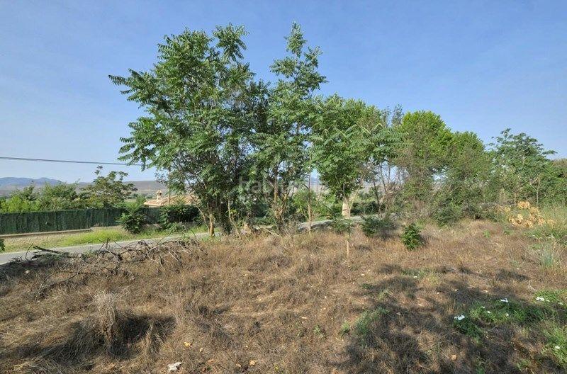 Foto 6f8a13f8-6417-4a77-a2b2-2f73666cbbed. Finca rústica a Padul