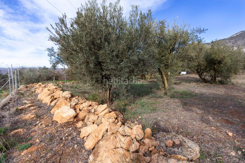 Foto 53e799f2-1ff1-44ed-8bd9-4d3349f0ba67. Masia a Dúrcal