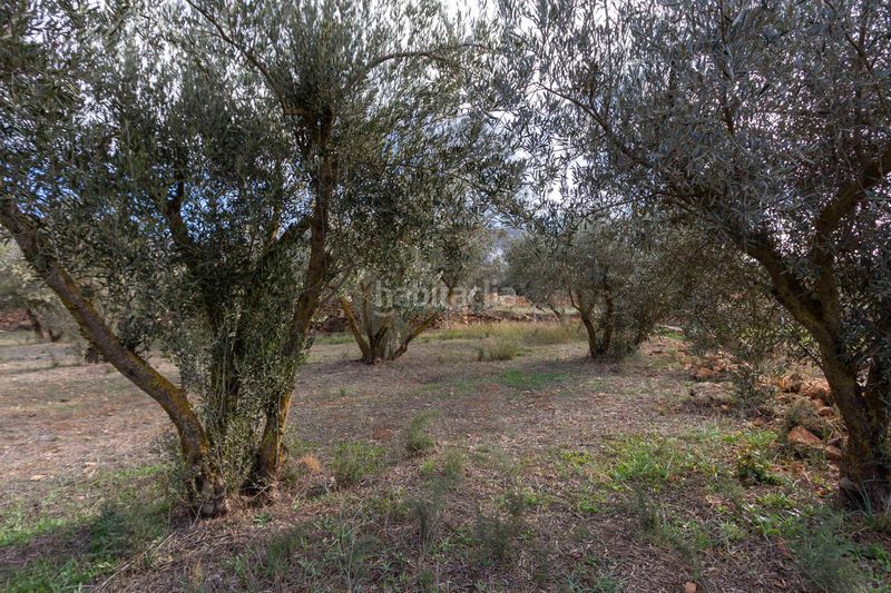 Foto 7fc4c0eb-b98f-4261-81c3-82da762a83e0. Masia a Dúrcal