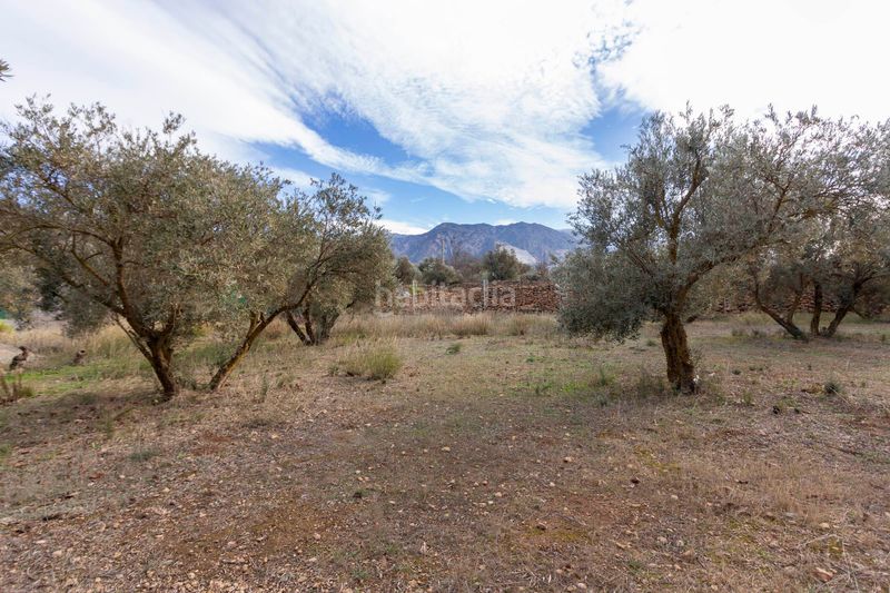 Foto b969764a-cddd-48aa-afc1-d884633c1171. Masia a Dúrcal