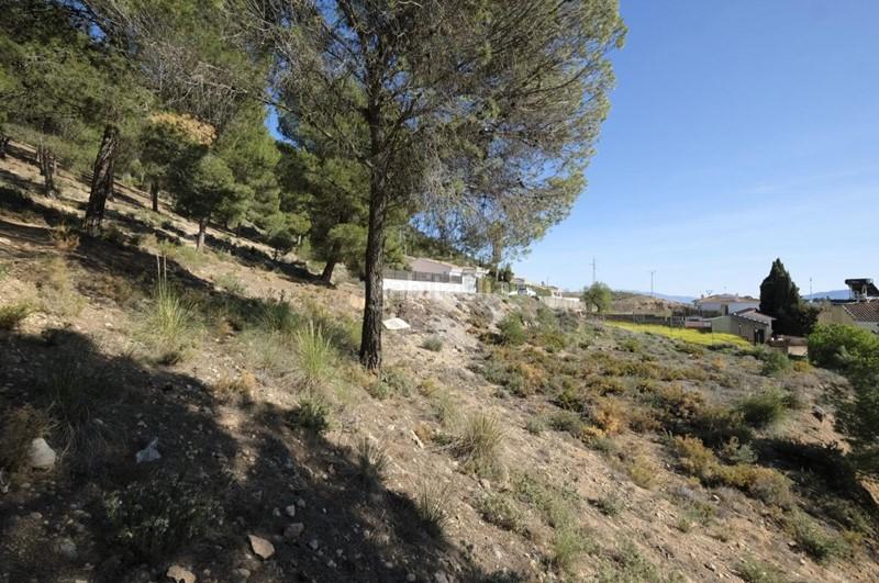 Foto 60f6b191-af2d-4e9e-829c-c8477910d273. Wohngrundstück in calle f-1 69a in Padul