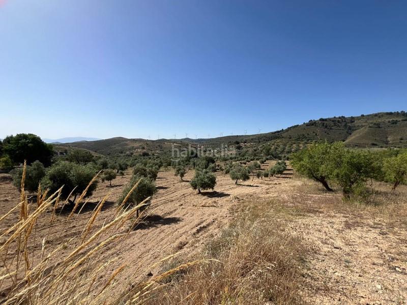 Foto 14d024b1-117c-4771-8f08-cfae7f015e9a. Finca rústica a Padul