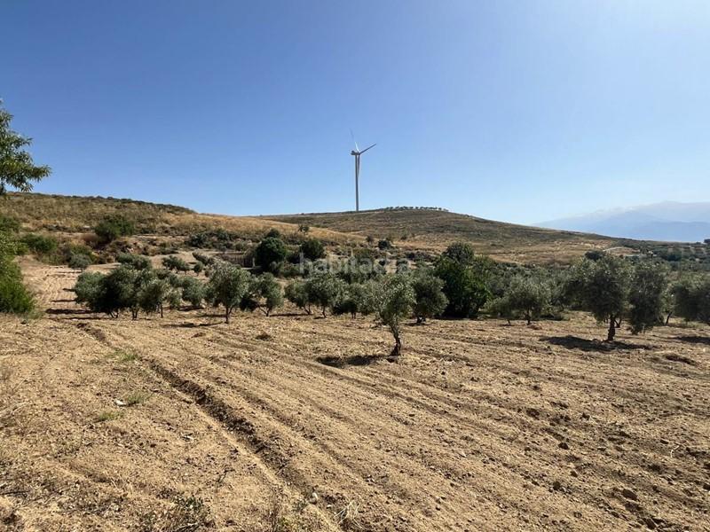 Foto 5a337549-3d47-431d-beb3-1c379b1f6467. Finca rústica a Padul