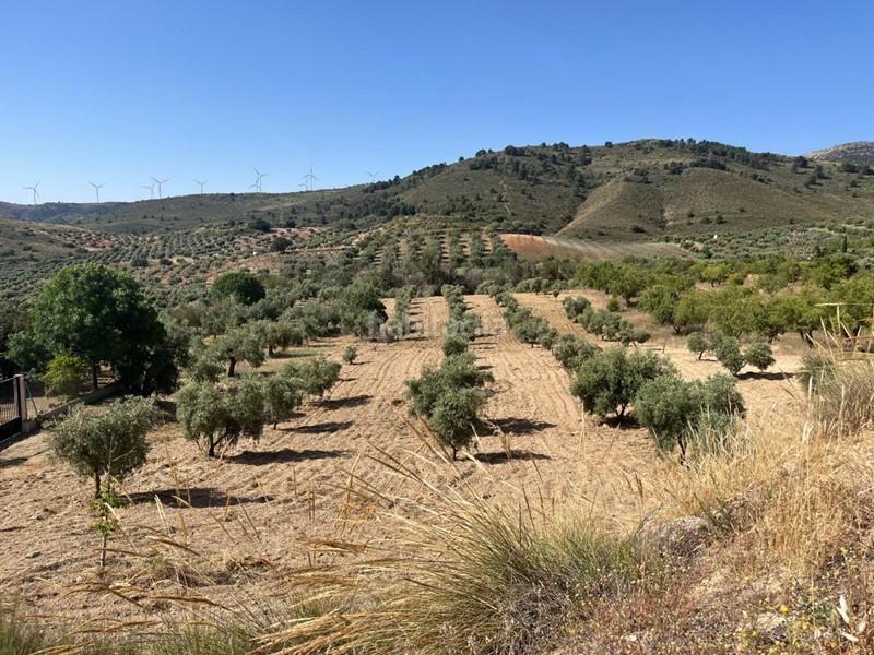 Foto 810a1564-5d4b-4390-af0f-5885e3cad17c. Finca rústica a Padul