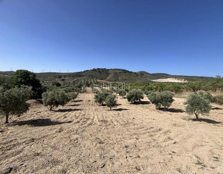 Foto 9dd670a8-106d-4611-892f-fb981424920e. Finca rústica a Padul