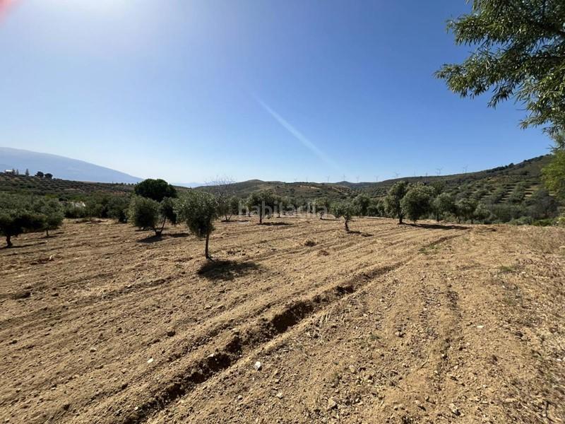 Foto b5937343-bf15-45da-9a18-33c9d3dd90ee. Finca rústica a Padul