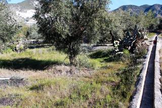Finca rústica a Padul. Finca rústica de 568 m2 en el romeral