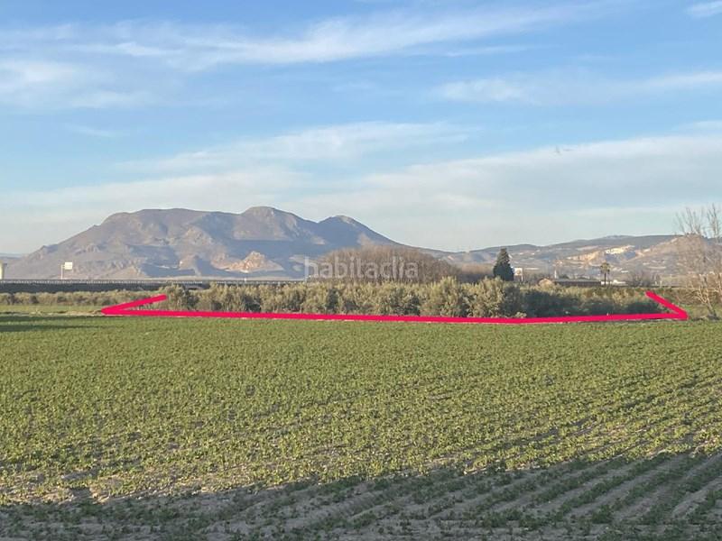 Foto 4fc1c8d9-d0e2-40d8-83a9-7d1fdc842dfc. Finca rústica  con olivos en Belicena en Vegas del Genil