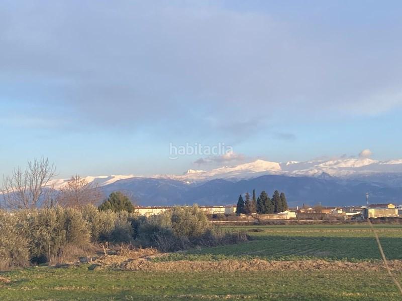 Foto 5c6b76d8-b30a-4725-8c7f-c658ce301e7e. Finca rústica  con olivos en Belicena en Vegas del Genil