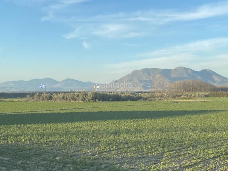 Foto 5fbf7504-7683-424a-9b03-30f22ad399a1. Finca rústica  con olivos en Belicena en Vegas del Genil