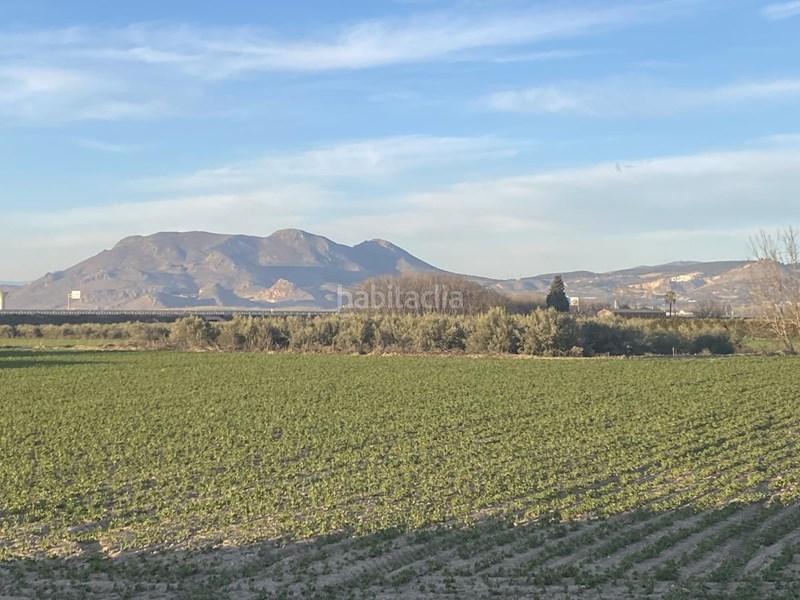 Foto d1faa61e-6961-49b5-a054-13e929fb957c. Finca rústica  con olivos en Belicena en Vegas del Genil