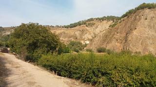 Finca rústica a Villamena. Finca rústica con granados en cónchar