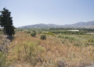 Finca rústica a Motril  ciudad. Finca rústica cerca de motril