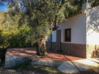 Masia a Lecrín. Finca de regadío con cortijo en béznar