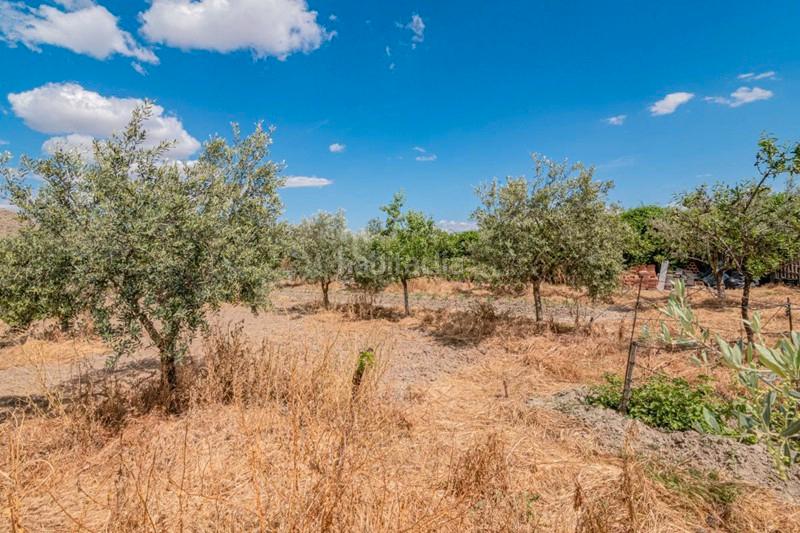 Foto 07b68631-e14b-467d-892f-becd10200cf7. Masía finca rústica con construcción en Pinos Puente