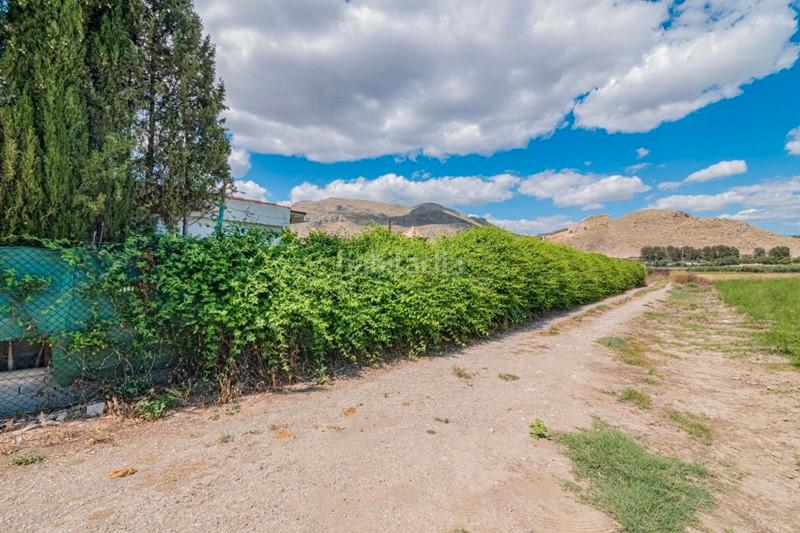 Foto 0c3dd5bb-b5a4-439a-a4f4-e81811136dff. Masía finca rústica con construcción en Pinos Puente