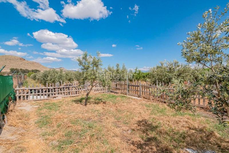 Foto 147a46e1-8d36-474a-8b89-f5b2d3b7919b. Masía finca rústica con construcción en Pinos Puente