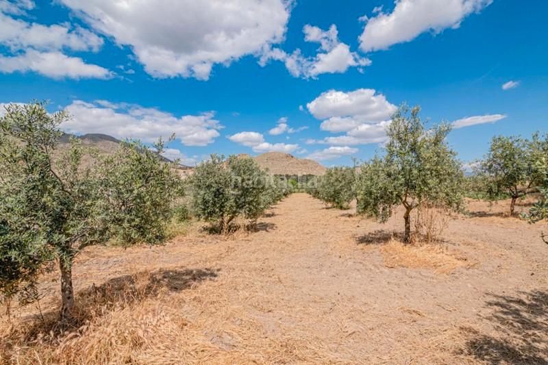 Foto 63d242be-67c1-4b77-821e-97131c7f03cc. Masía finca rústica con construcción en Pinos Puente
