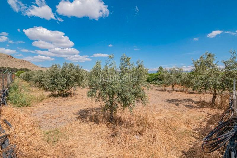 Foto a0472aa9-3667-48fa-a08d-3c3026040d83. Masía finca rústica con construcción en Pinos Puente