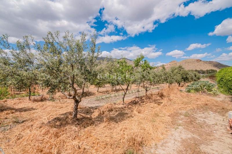 Foto b663b4bb-7418-491f-a06a-7f0e68db98ba. Masía finca rústica con construcción en Pinos Puente